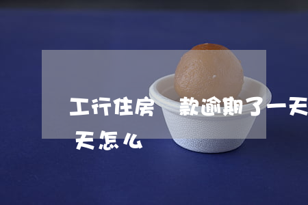 工行住房貸款逾期了一天(銀行貸款逾期了一天怎么辦)