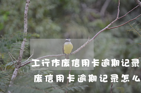 工行作废信用卡逾期记录怎么消除-工行作废信用卡逾期记录怎么消除掉