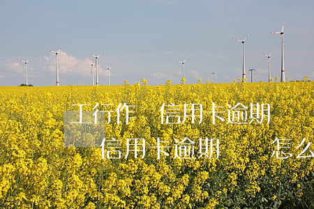 工行作廢信用卡逾期記錄怎么消除-工行作廢信用卡逾期記錄怎么消除掉