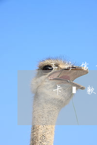 工行信信用卡透支還款期限(工商銀行卡信用卡還款日)