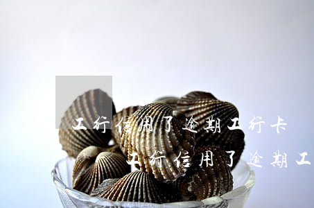 工行信用了逾期工行卡儲(chǔ)蓄卡被鎖-工行信用了逾期工行卡儲(chǔ)蓄卡被鎖了