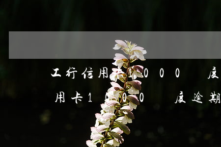 工行信用卡1000額度逾期8年-工行信用卡1000額度逾期8年還多少