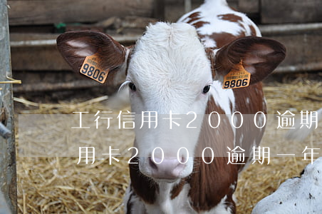 工行信用卡2000逾期一年怎么辦（工行信用卡2000逾期一年）