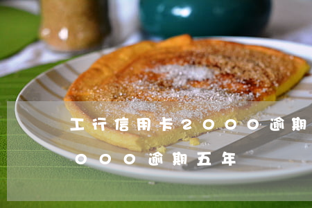 工行信用卡2000逾期五年(工行信用卡2000逾期五年)