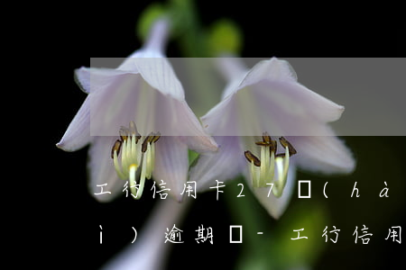 工行信用卡27號(hào)還款會(huì)逾期嗎-工行信用卡27號(hào)還款會(huì)逾期嗎怎么辦