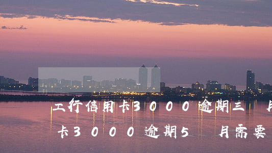 工行信用卡3000逾期三個月-工商信用卡3000逾期5個月需要還多少