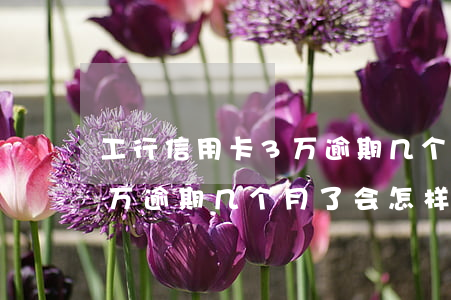 工行信用卡3万逾期几个月了(工行信用卡3万逾期几个月了会怎样)