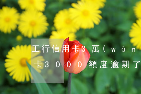 工行信用卡3萬(wàn)逾期了(工商信用卡3000額度逾期了3年,要還多少)