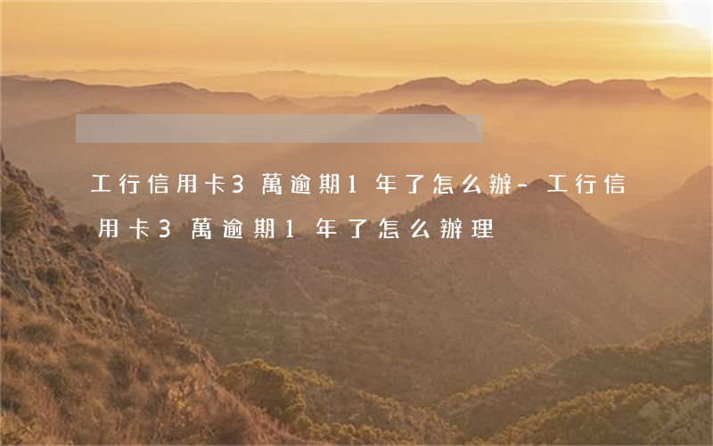 工行信用卡3萬逾期1年了怎么辦-工行信用卡3萬逾期1年了怎么辦理