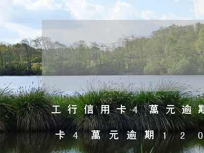 工行信用卡4萬元逾期120天-工行信用卡4萬元逾期120天利息多少
