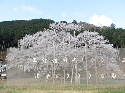 工行信用卡5000逾期扣利息(工商銀行信用卡5000逾期一年利息是多少)
