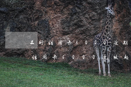 工行信用卡5000逾期被起诉(欠工商银行信用卡5000元被起诉了怎么办?)