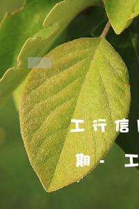 工行信用卡三萬逾期如何協(xié)商分期-工行信用卡三萬逾期如何協(xié)商分期還款