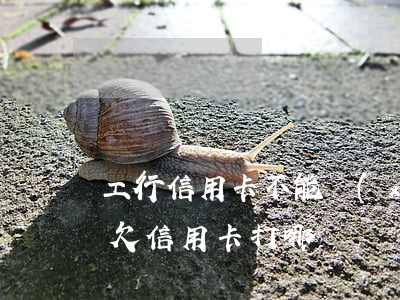 工行信用卡不能協(xié)商-工商銀行欠信用卡打哪個電話協(xié)商還本金