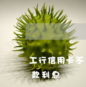 工行信用卡不還利息多高(工行信用卡最低還款利息)