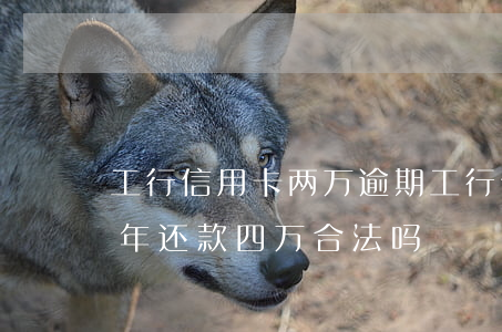 工行信用卡两万逾期(工行信用卡两万逾期3年还款四万合法吗?)