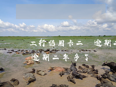 工行信用卡二萬逾期二年多(工行信用卡二萬逾期二年多了)