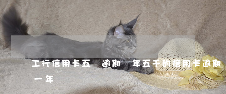 工行信用卡五萬逾期兩年 五千的信用卡逾期一年