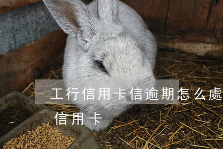 工行信用卡信逾期怎么處理(工行有逾期批了信用卡)
