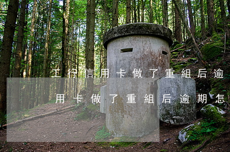 工行信用卡做了重組后逾期怎么辦-工行信用卡做了重組后逾期怎么辦理