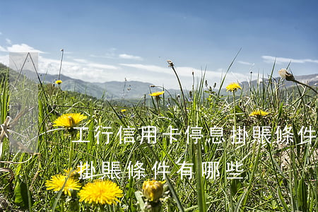 工行信用卡停息掛賬條件-工行信用卡停息掛賬條件有哪些