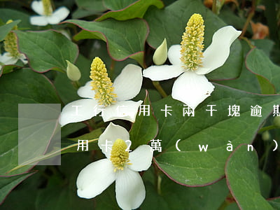工行信用卡兩千塊逾期兩年滯納金(欠工行信用卡2萬(wàn)逾期一年已經(jīng)移交法務(wù)部)