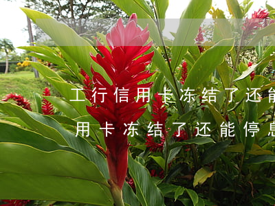 工行信用卡冻结了还能停息挂账吗-工行信用卡冻结了还能停息挂账吗怎么办