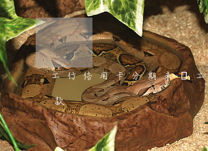 工行信用卡分期未還(工商銀行信用卡 分期付款)