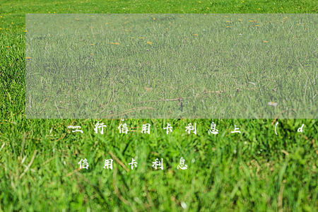 工行信用卡利息上調(diào)-工行的信用卡利息