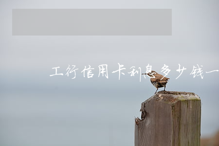 工行信用卡利息多少钱一天（工行信用卡利息）