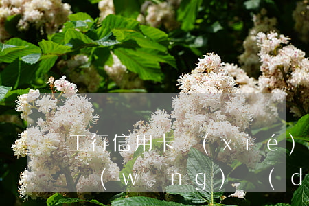 工行信用卡協(xié)商還款必須去指定網(wǎng)點(diǎn)嗎-工行信用卡協(xié)商還款必須去指定網(wǎng)點(diǎn)嗎