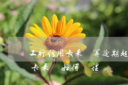 工行信用卡呆賬算逾期(超過十年以上的信用卡呆賬如何處理)