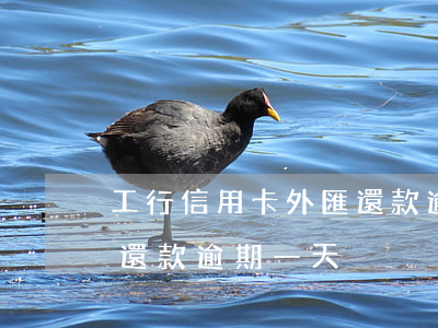 工行信用卡外匯還款逾期-工行信用卡外匯還款逾期一天