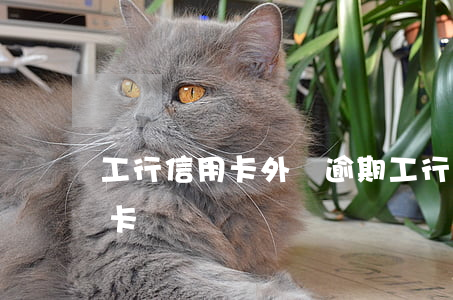 工行信用卡外幣逾期(工行逾期過再申請信用卡)
