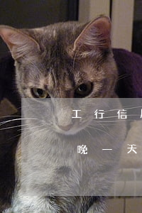 工行信用卡多久不还算逾期(工商银行信用卡晚一天还算逾期吗)