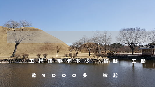 工行信用卡多少錢被起訴(工商銀行信用卡欠款3000多會被起訴嗎)