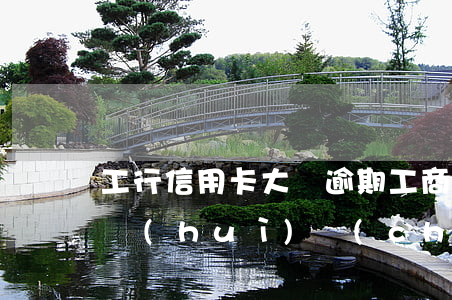 工行信用卡大額逾期(工商銀行的信用卡逾期會(huì)產(chǎn)生什么后果)