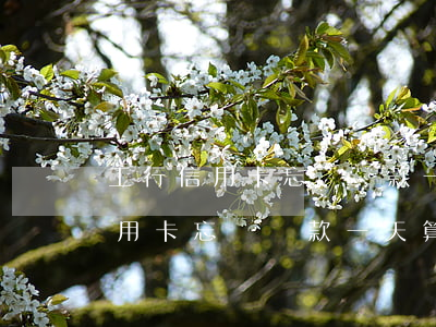 工行信用卡忘記還款一天算逾期嗎-工行信用卡忘記還款一天算逾期嗎怎么辦