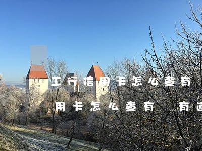 工行信用卡怎么查有沒有逾期記錄-工行信用卡怎么查有沒有逾期記錄呢