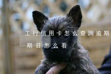 工行信用卡怎么查詢逾期(工商銀行信用卡到期日怎么看)
