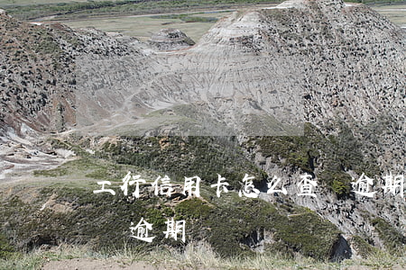 工行信用卡怎么查詢逾期(工行信用卡怎么查詢逾期)