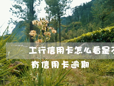 工行信用卡怎么看是不是逾期(怎么查看有沒有信用卡逾期)