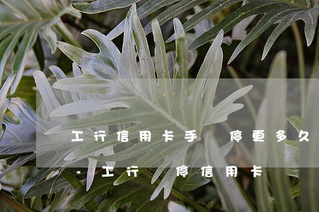 工行信用卡手銀停更多久出結(jié)果-工行暫停信用卡