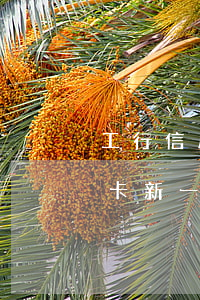 工行信用卡新一期賬單逾期部分-工行信用卡新一期賬單逾期部分怎么辦