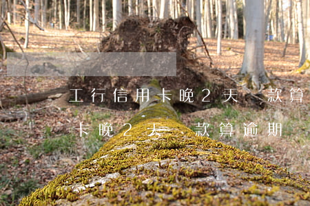 工行信用卡晚2天還款算逾期嗎-工行信用卡晚2天還款算逾期嗎怎么辦