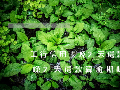 工行信用卡晚2天還款算逾期嗎(工行信用卡晚2天還款算逾期嗎)