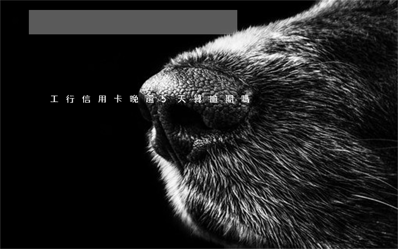工行信用卡晚還5天算逾期嗎