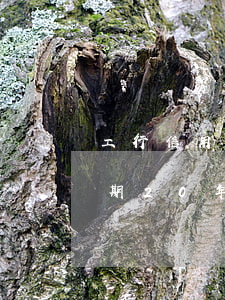 工行信用卡會逾期20年嗎(工行信用卡會逾期20年嗎)