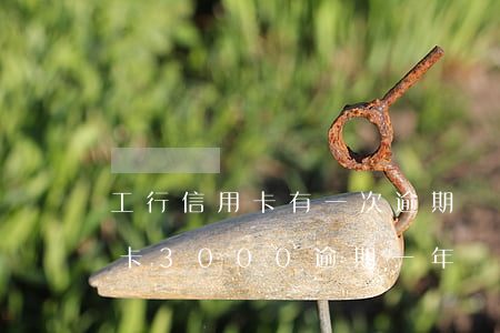 工行信用卡有一次逾期記錄-工商銀行信用卡3000逾期一年