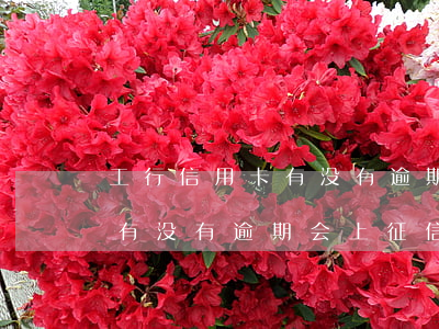 工行信用卡有没有逾期会上征信(工行信用卡有没有逾期会上征信)